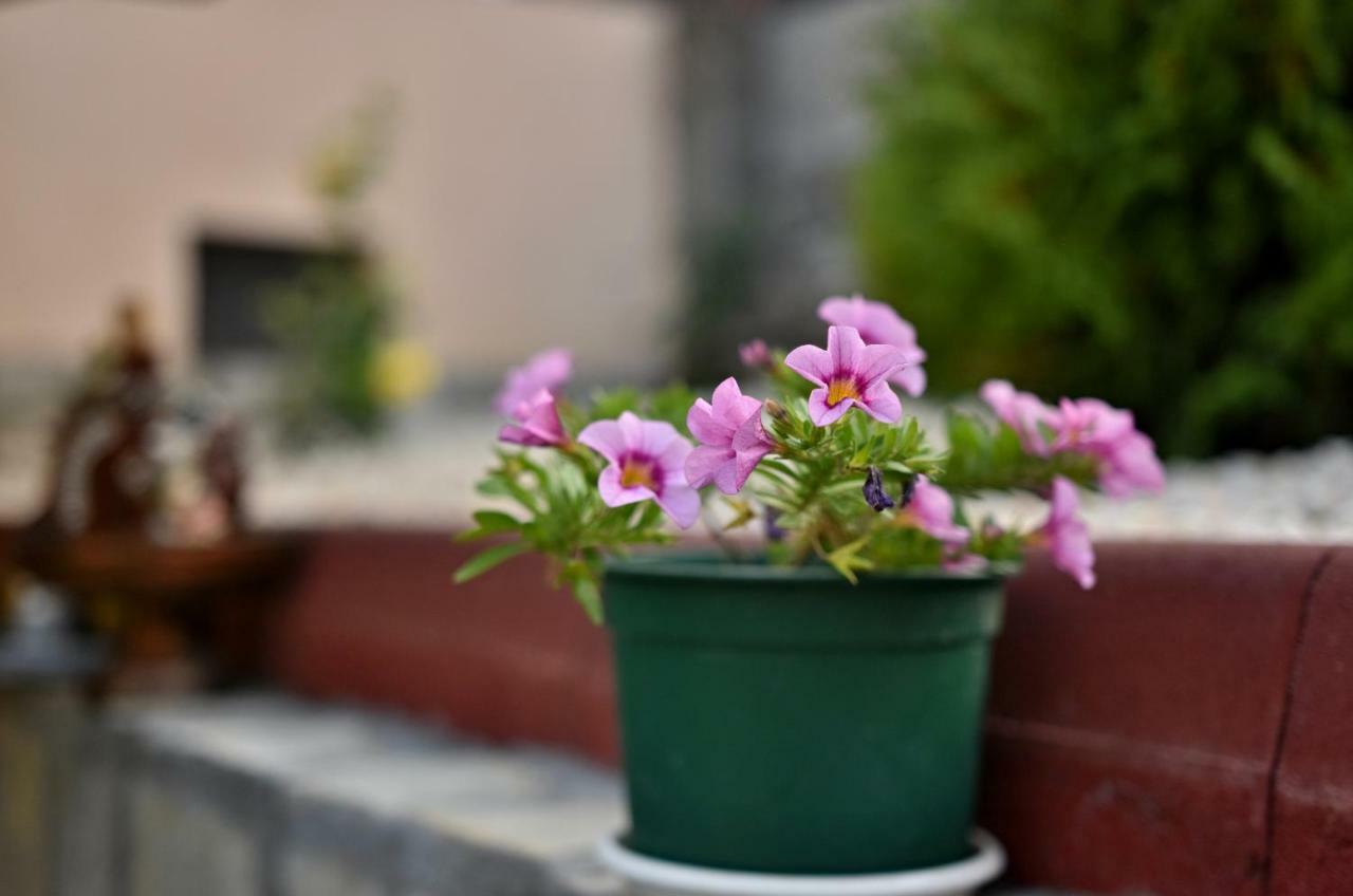 Saint Maria Guest House Velingrad Kültér fotó